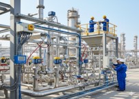 SMART PLANT INSTRUMENTATION & SAFETY SYSTEMS